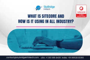 Who is Sitecore and how is it using in all industries